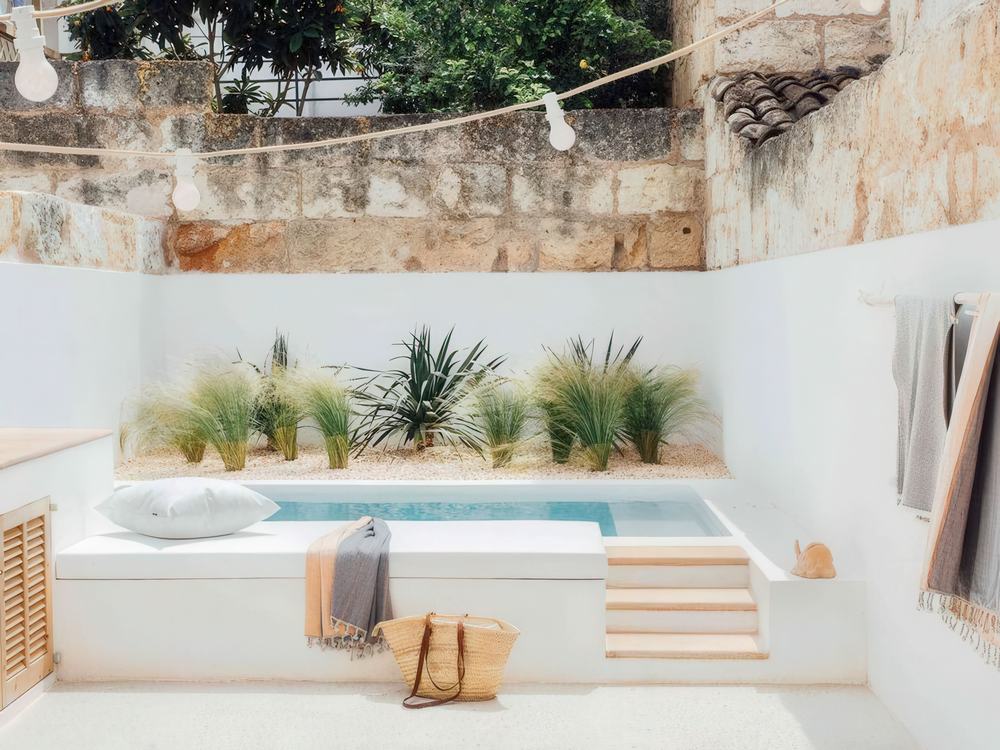 Mini Plunge Pool