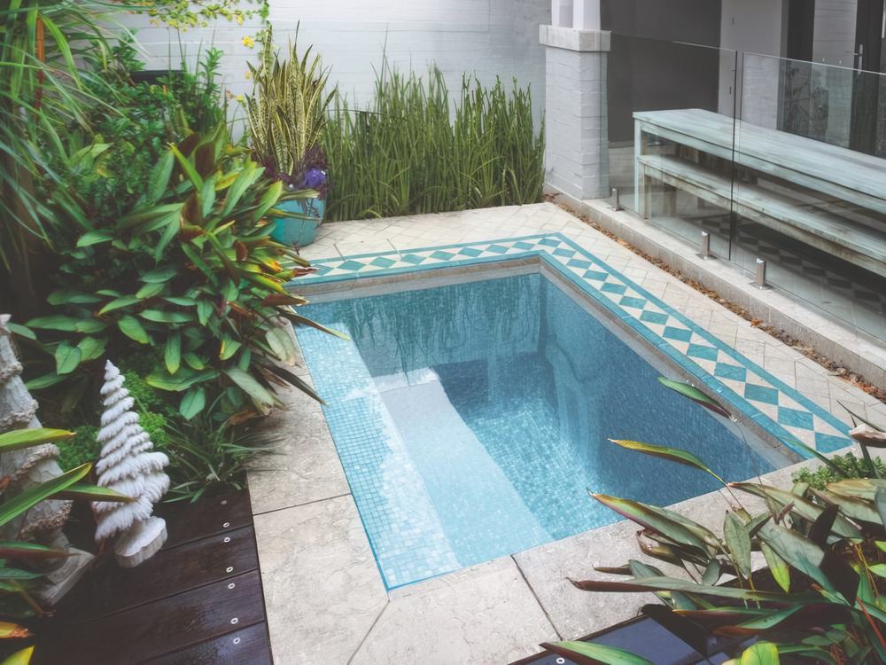 Plunge Pool